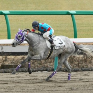 3歳新馬②