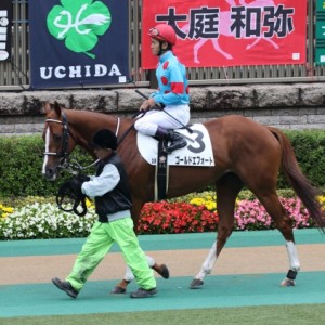 2015/10/17 東京3R 2歳未勝利