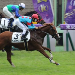 2015/10/17 東京3R 2歳未勝利