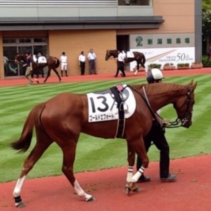 デビュー戦にて