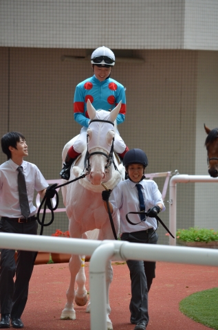 2016年9月24日　3歳未勝利　パドック シロインジャー