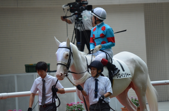2016年9月24日　3歳未勝利　パドック シロインジャー