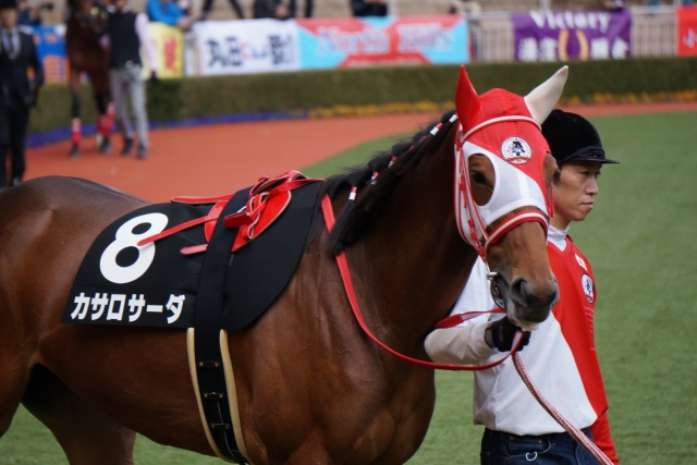 パドック カサロサーダ