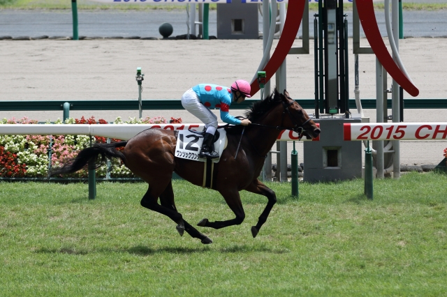 新馬戦　ゴール ワンソックワンダー