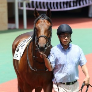 新馬戦　パドック