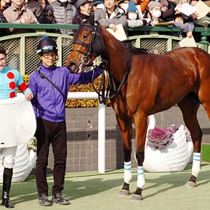 新馬戦　口取り