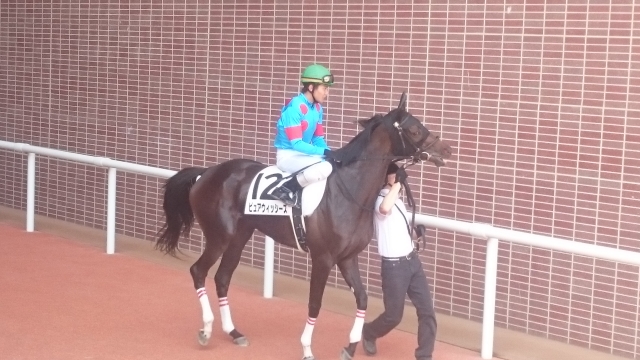 本馬場入場 ピュアウィッシーズ