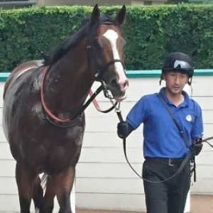 玄海特別 快勝！ 口取り前