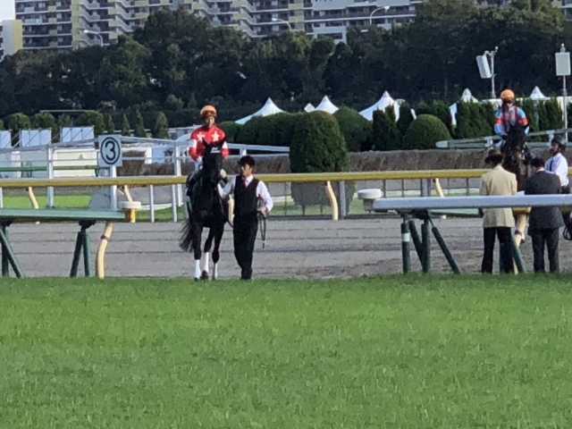 本馬場入場 レッドアヴァンセ