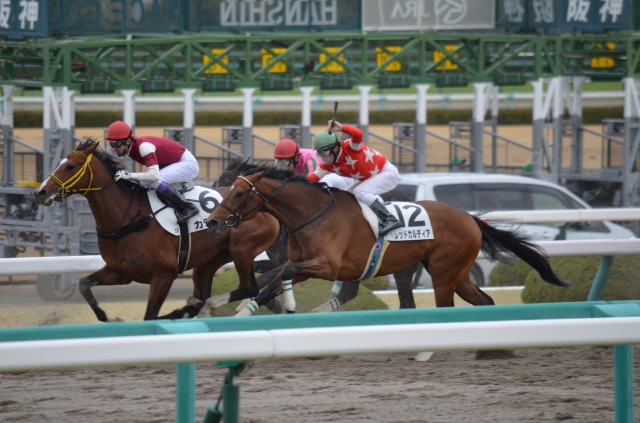 2016年3月13日　3歳新馬 レッドカルディア