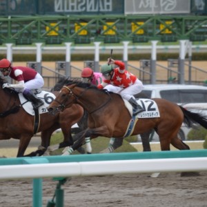 2016年3月13日　3歳新馬