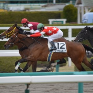 2016年3月13日　3歳新馬
