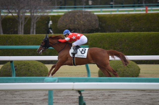 2016年3月13日　3歳新馬 レッドヴァローレ