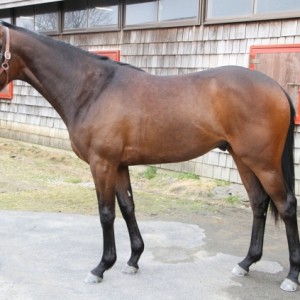 ファンタストクラブ