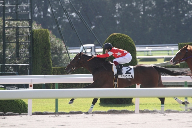 残り100m レッドウィズダム