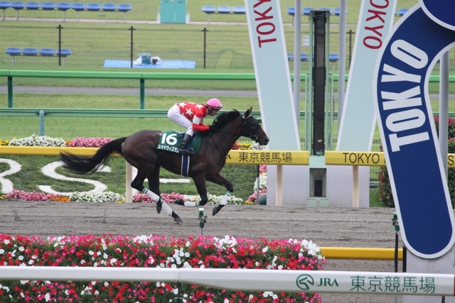 返し馬 レッドウィズダム
