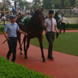 9月6日  小倉2歳ステークス  パドック