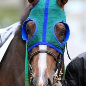 2016.6.25 函館4R 3歳未勝利