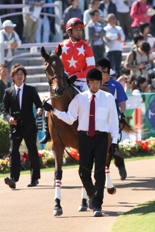 未勝利戦パドック（2） レッドディヴェル
