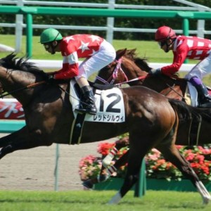 新馬戦　ゴール前