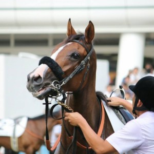 ゴール後　検量室前にて