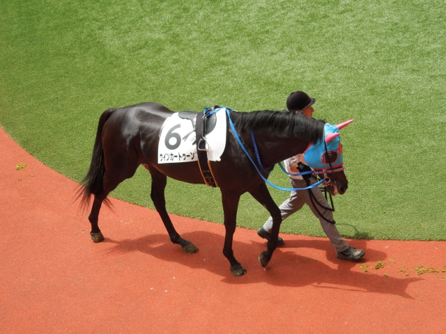 3歳上500万下その１ ウインカートゥーン