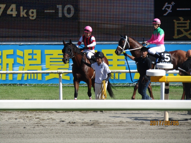 2017.8.5_越後ステークス_本馬場(1) ウインオスカー