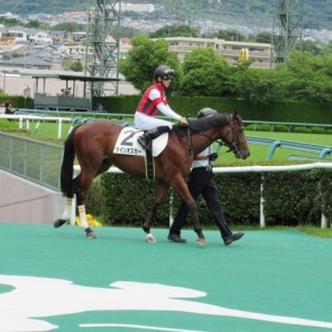 新馬戦本馬場入場