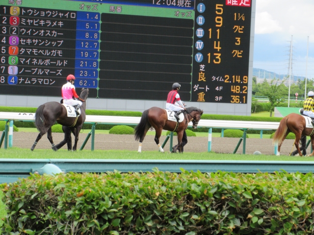 新馬戦本馬場入場２ ウインオスカー
