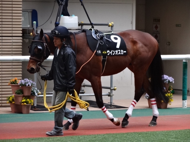 ラジオ福島賞　パドック ウインオスカー
