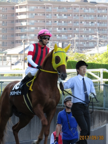 2017.9.30_芦屋川特別_本馬場(1) ウインハートビート