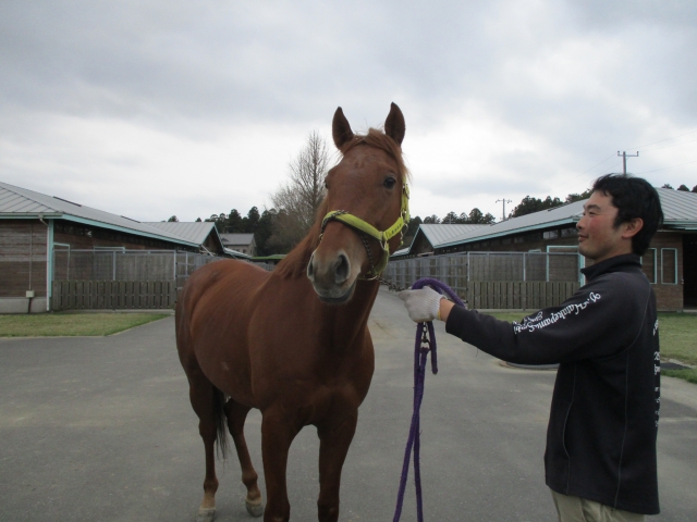 ビッグレッドファーム鉾田にて ウインハートビート
