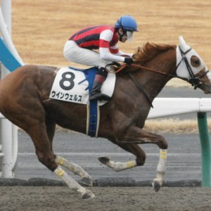 ３歳未勝利戦レース中(中京)