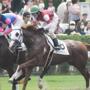 ３歳未勝利(12戦目)レース
