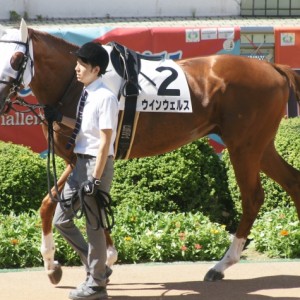 17戦目パドック