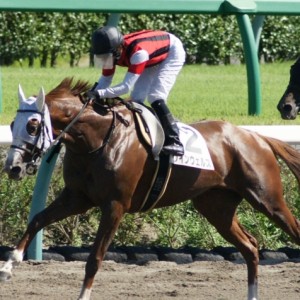 17戦目ゴール前