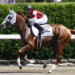 17戦目返し馬
