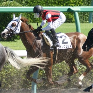 17戦目１周目の直線