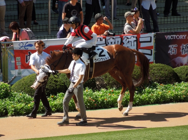 3歳上500万下その２ ウインウェルス