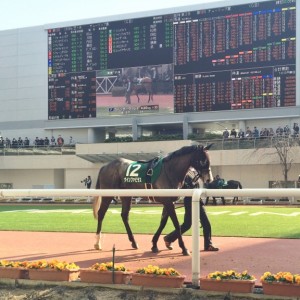 トライアル　本番を見据えて