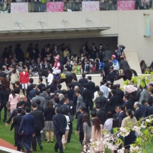 阪神3連戦　よく頑張った！