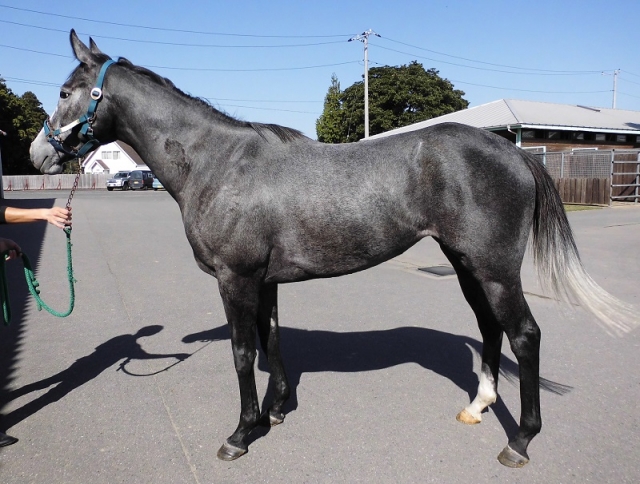 鉾田TC06 ウインファビラス