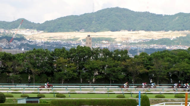 スタート後しばらくして アリモニー