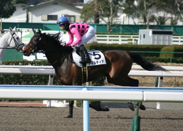 第１回小倉第２日２Ｒ４歳以上５００万下１０００Ｍダート アマルティア