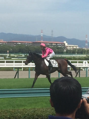 9/12メイクデビュー返し馬 アマルティア