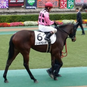 メイクデビュー戦パドック②