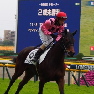 メイクデビュー返し馬