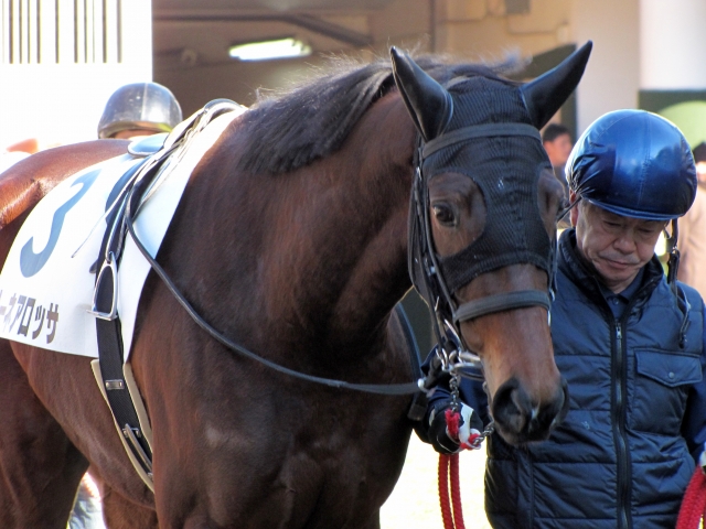 やっぱりぱっちりおめめです(・・)♪ リーネアロッサ