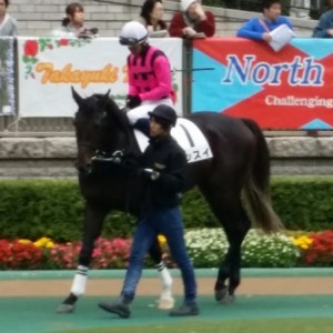 キッスイのメイクデビュー戦