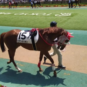 いい気合い乗りのパドック🎵